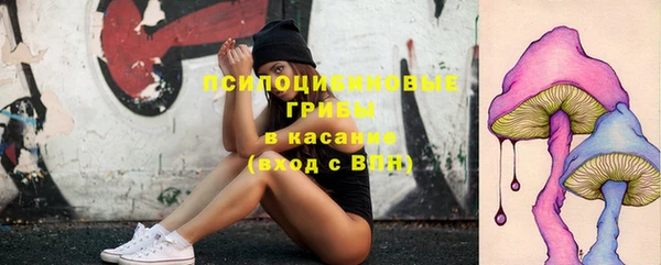 каннабис Верея