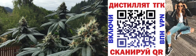 Дистиллят ТГК концентрат  Каменск-Шахтинский 