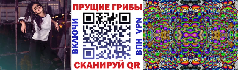 маркетплейс клад  kraken ТОР  Каменск-Шахтинский  где купить наркотик  Псилоцибиновые грибы прущие грибы 